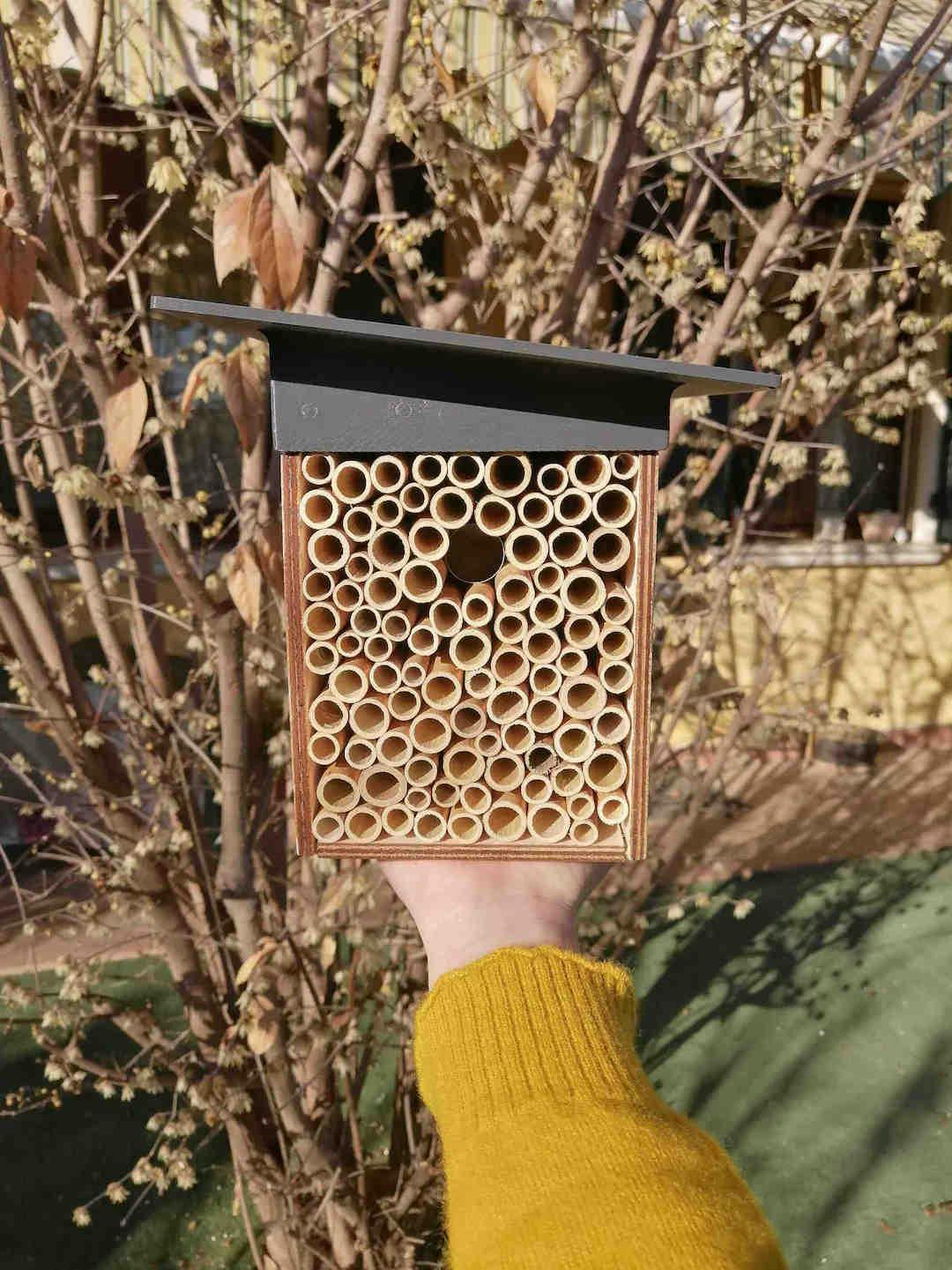 Un projet pour les abeilles solitaires