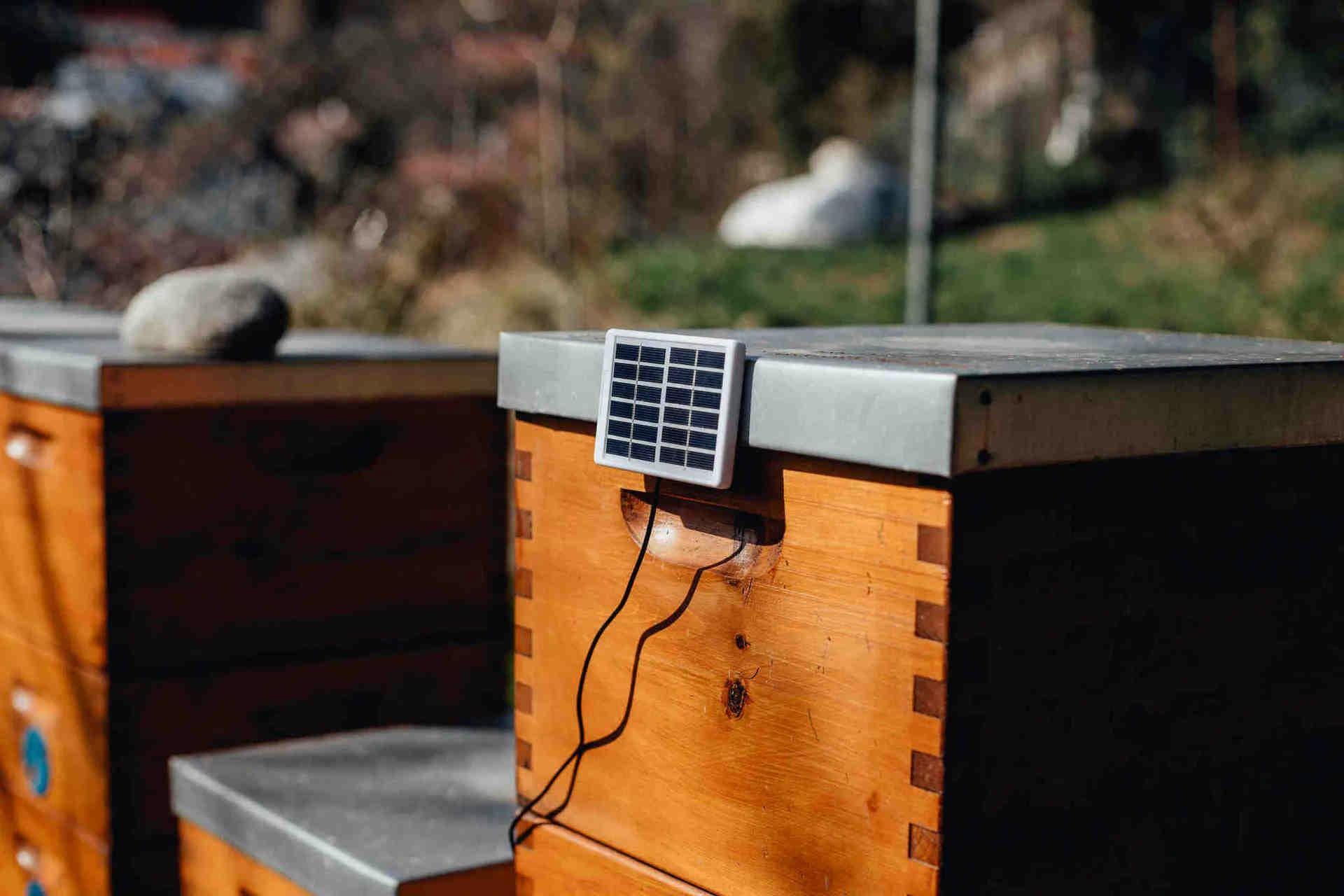 3Bee technology and monitoring systems