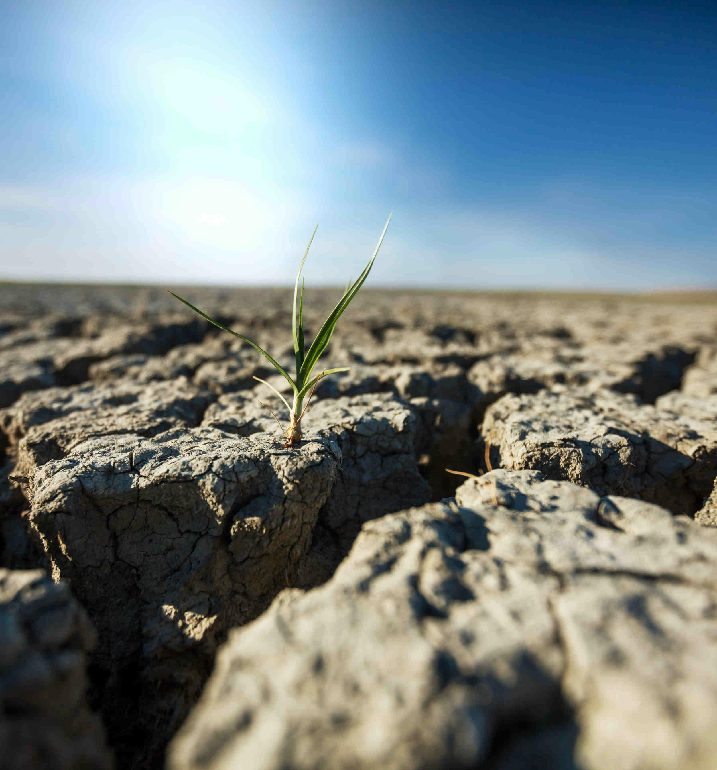 Misure per contrastare la desertificazione e la siccità