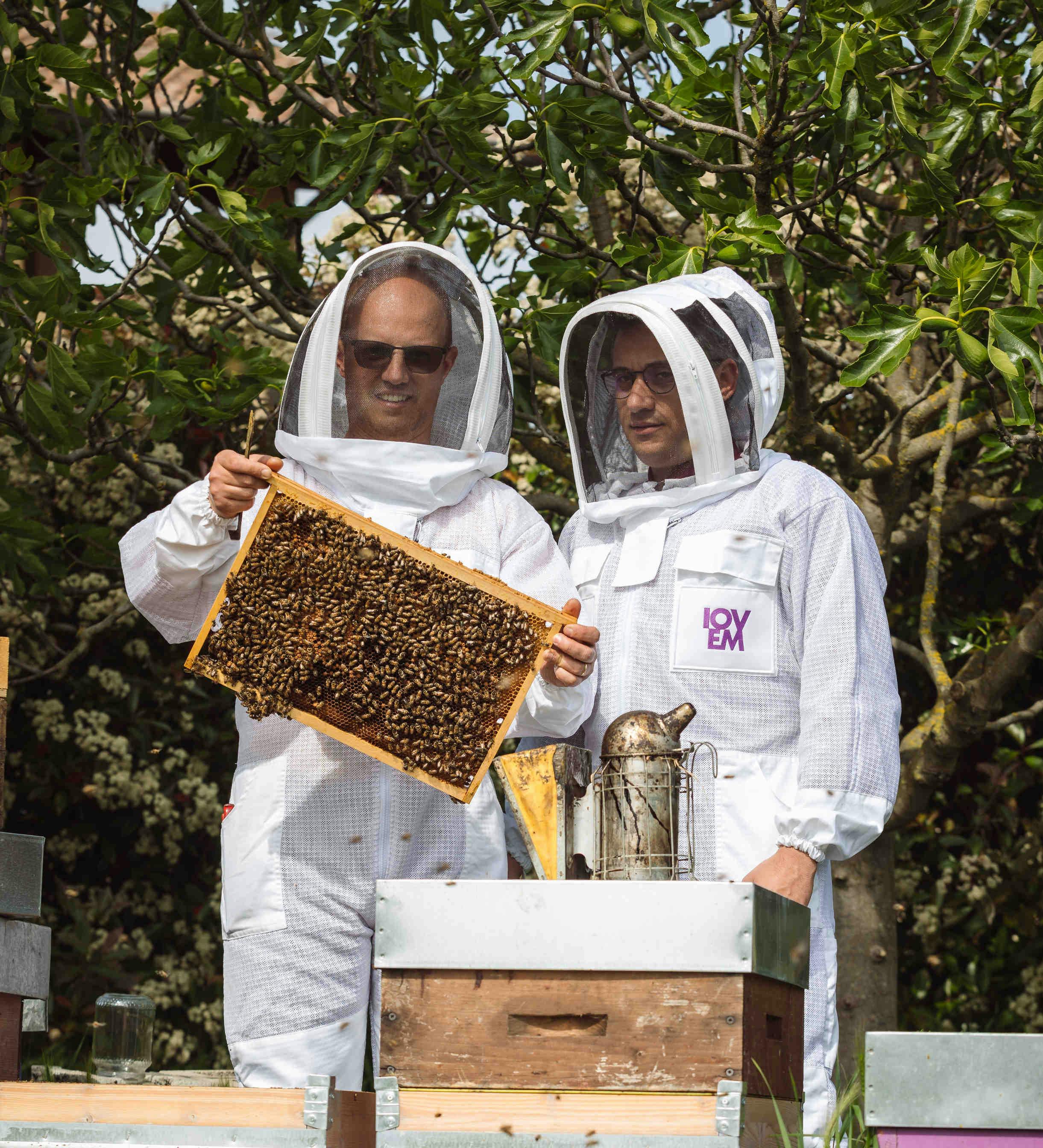 “Esperienza in apiario”: un team building unico