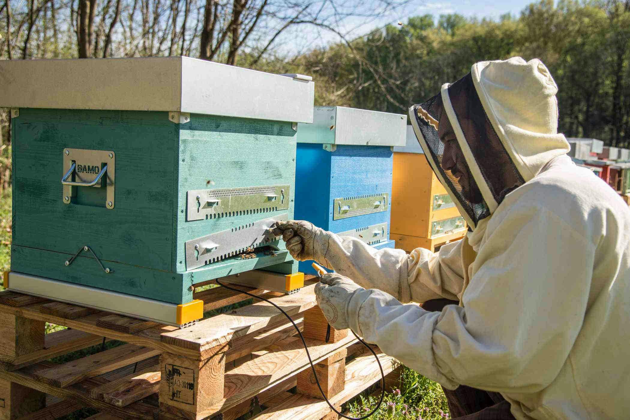 Controlla le tue api con un monitoraggio da remoto